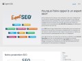 Expert SEO - Optimisation de votre site